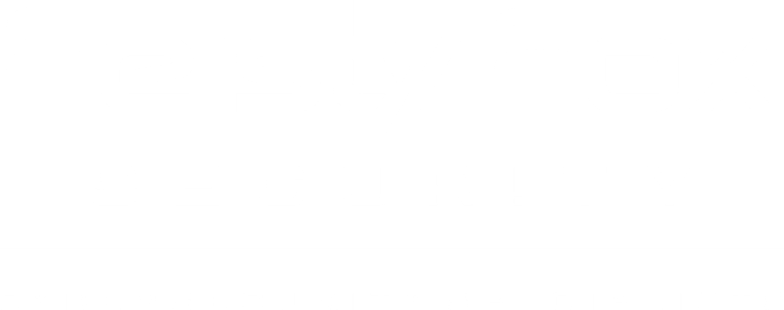 Feisty%20Fox%20Security%20logo%20design%20white%20%281%29